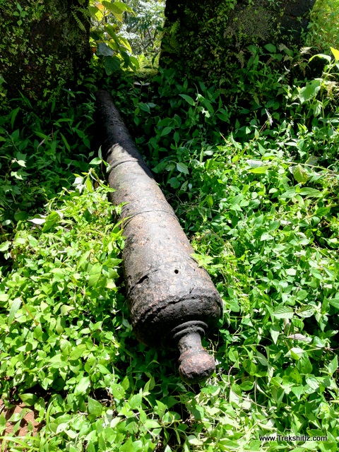 Cannon, Sada Fort